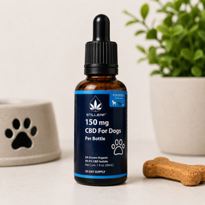 CBD Oil for Dogs