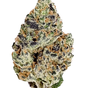 Block Berry