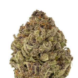Blue Sherbet